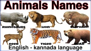 Wild Animals Name | Learn animal names with pictures in English-kannada | ak English Learning