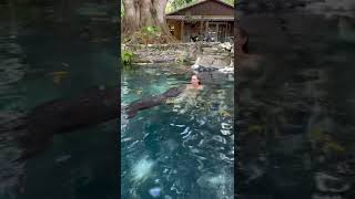 Gabby swimming with alligators 🥰🐊