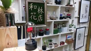 掌舖 - 和林花店 永生花音樂盒