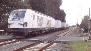 Diesel Vectron PCW 9 with Container Cars! At Forstwald/Forsthaus Germany!