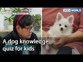 A dog knowledge quiz for kids (Dogs are incredible EP.106-5) | KBS WORLD TV 211229