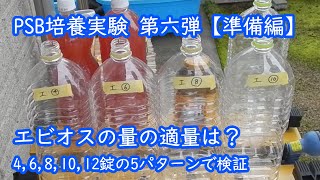 PBS培養実験6　エビオスの量を変えて培養【準備編】4,6,8,10,12錠の5パターンで検証してみる