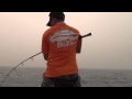 大马铁人聚乐部 Club Ironman Malaysia Popping Giant trevally Pekan 22/6/2013