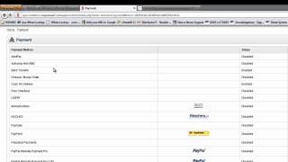 Opencart Payment Module - SitesNStores Support