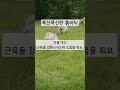 슬개골탈구 강아지 산책 장소 알려드릴게요🌿