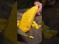 Slicing up a mango #fyp #knife #knifesharpening #ray #knifesharpener #rui #knives #japaneseknives