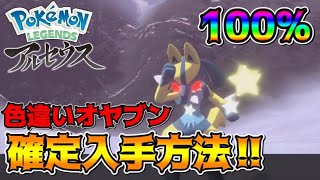 100％オヤブンの色違いをゲットする方法があるらしい　【PLA】　【ポケモンレジェンズアルセウス】