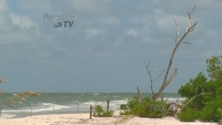 Beach of the Week - Lovers Key