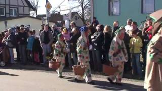 Narrentreffen Lauffen 06.02.2011.wmv