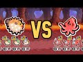 Blowfish VS Octopus | Who Wins!?