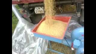 Grain blower