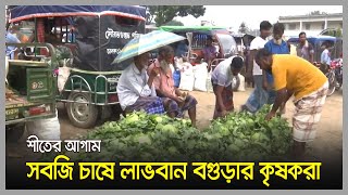 শীতের আগাম সবজি চাষে লাভবান বগুড়ার কৃষকরা | Vegetable Market | Bogura News | Dhaka Post