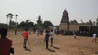 Yaruthattam in Arisippalayam | Puduppalayam PO | Salem - Jallikattu At Arisippalayam | Star Boy's