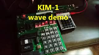 KIM-1 Ruler WAVE Demo