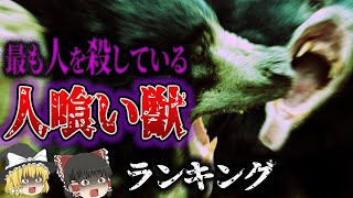 【総集編】最恐！人間を最も殺している「人喰い獣ランキング」