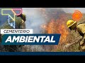 Incendios en Corrientes: 