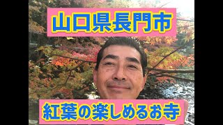 山口県長門市の観光地にあるお寺で紅葉を楽しむ！