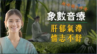 【神奇象数音疗（超好听无伴念版）】不开心  爱生气   压力大  轻度抑郁 焦虑  肝郁气滞 情志不舒｜音乐《江南》  笛子 古筝｜象数疗法｜正念音乐｜430 720 ｜默念  播放均有能量