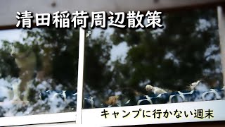 【カメラ散歩】清田稲荷神社周辺散策　ねこ神社