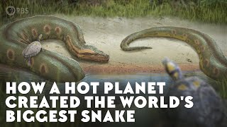 How a Hot Planet Created the World's Biggest Snake