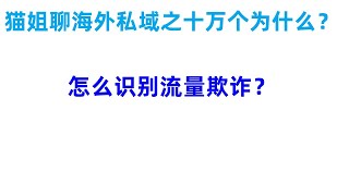 海外营销十万个为什么：怎么识别流量欺诈？