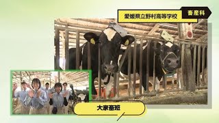 令和5年度愛媛県立（野村高校）【全国募集】PR動画