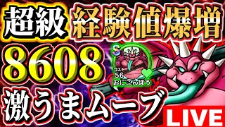 【超級91周目～】経験値激うまムーブ健在！無課金装備オート編成！おにこんぼう周回！注意点とコツ有り！エンブレムドロップ率集計ドラクエチャンピオンズ61日目実況生放送part59【DQチャンプ】