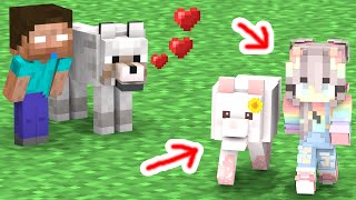 WOLF vs BABY HEROBRINE - FUNNY STORY - Minecraft Animation