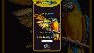 సమాజం ద్వారా_✍🏻#Top10జీవితసూక్తులుS15#jeevitha satyalu#Golden#Epic#Life#Quotes#telugushorts@MQuotesz