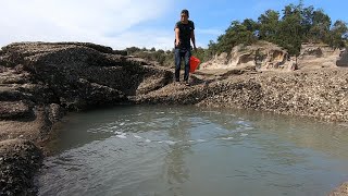 阿阳赶海发现浑坑直冒白泡，舀干后阳嫂吓得桶都丢了，实在可怕