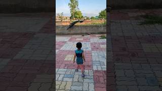 shreenav ko peacock ke sath khelna hai 😍🥰#cutebaby #trandingshorts #shorts #viral #shreenav