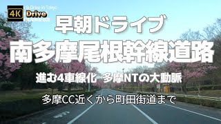 【ドライブ4K】【早朝、桜の南多摩尾根幹線道路～多摩カントリークラブ近くから町田街道まで】【進む4車線化 多摩NTの大動脈】【国士舘大学、多摩大学】【東京2020五輪男子自転車競技ロードレースコース】