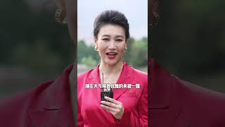 做梦都想不到，光鲜亮丽的央视主持人，竟都为了事业至今单身 #李梓萌 #欧阳夏丹 #央视主持人 #春晚主持人 #春晚