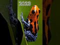 2023 frog 🐸🐸 V/s 5000 bce frog mythical biology #shortvideo #viral