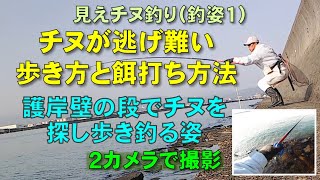 見えチヌ釣り（釣姿１）チヌが逃げ難い歩き方と餌打ち方法を２カメラで撮影（護岸壁の段でチヌを探し歩き釣る姿）【見えチヌを釣る／前打ち／ヘチ釣り／落とし込み／河川／クロダイ／サイトフィッシング】