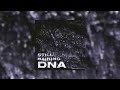 dna still raining