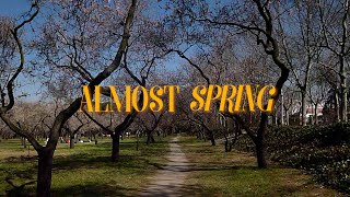 digicam diaries 01 - (almost) 🌸 spring picnic in madrid | spain vlog