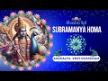 Shashti Spl Subramanya Homa | 07 Nov 2024 | Live From VDS Bangalore Ashram