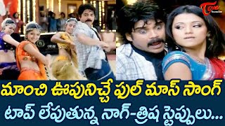 మాంచి ఊపునిస్తున్న ఊర మాస్ సాంగ్..| Nagarjuna, Trisha full Josh mass Song | TeluguOne