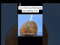 Send it #funny