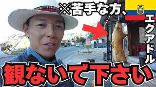 【閲覧注意】エクアドルの山道で吊された豚を食べたらヤバかった【南米旅＃63】