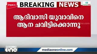 അട്ടപ്പാടിയിൽ ആദിവാസി യുവാവിനെ ആന ചവിട്ടിക്കൊന്നു