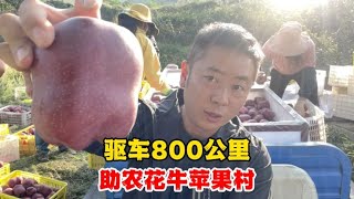 陕北驱车800公里抵达甘肃天水，海派团队助农花牛苹果村【叉子闯四海】