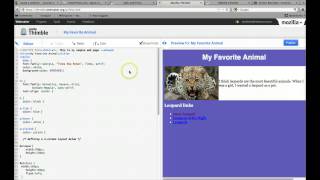Session 2: Adding CSS to Thimble