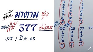 วันนี้มาตามชุดของแท้ 377 ชมเลย | งวดวันที่ 1 มี.ค. 2568