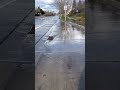 unclogging a massive street flood with satisfying results relax unclogging satisfying drain