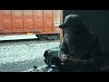 King of the Rails- Trailer (BSDFF 2017)