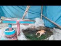 water powered pounder corn livel