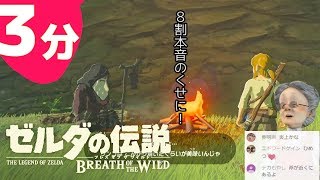 3分でわかるババアの伝説 プロローグ編【ゼルダの伝説 ブレスオブザワイルド】