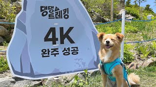 2023댕댕트레킹 완주🐶 | 강아지랑 등산